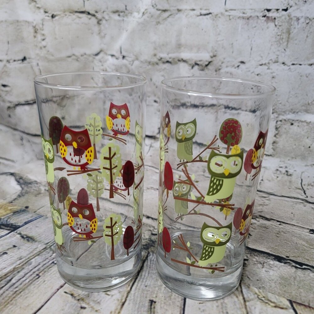 Libbey Retro Owls Highball Glasses Tumblers Set Of 2 Vintage